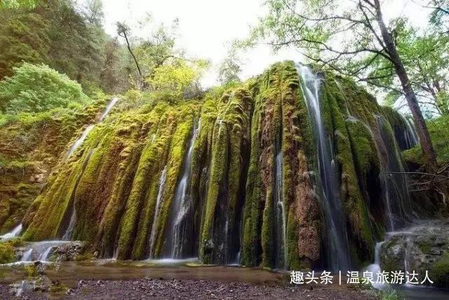 勇闯精灵大陆4