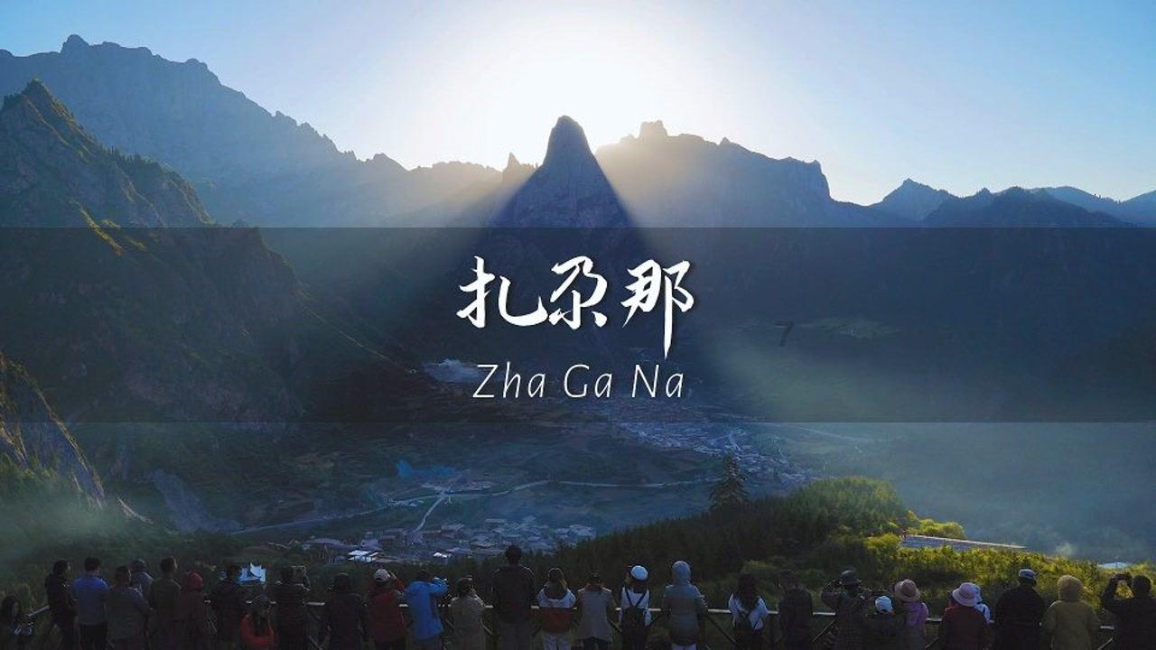 如数甲珍，颈益求精|显微智能斩获好评，甲状腺肿瘤学术盛会圆满结束